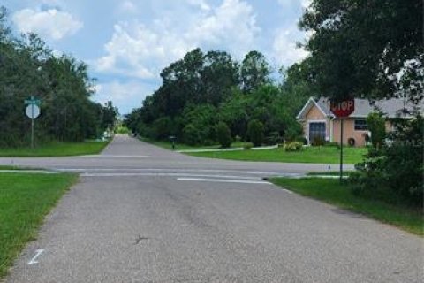 Land in Port Charlotte, Florida № 597624 - photo 14