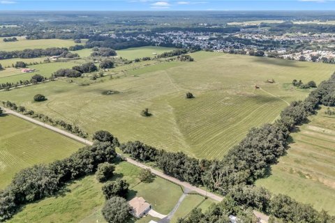 Terreno en venta en Oxford, Florida № 1379519 - foto 15