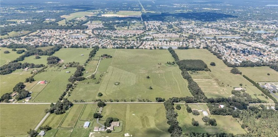 Terreno en Oxford, Florida № 1379519