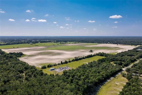 Land in Dunnellon, Florida № 1300653 - photo 22