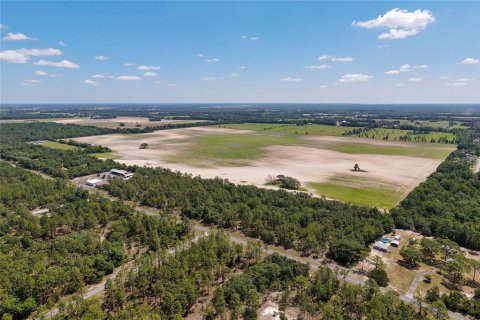 Terrain à vendre à Dunnellon, Floride № 1300653 - photo 6