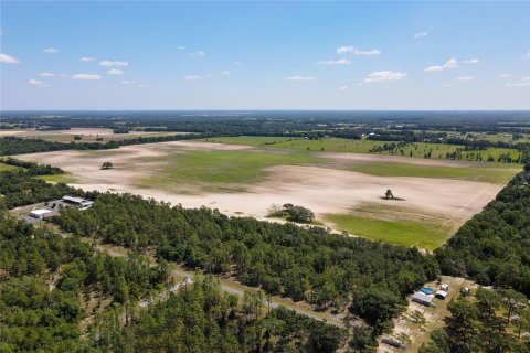 Land in Dunnellon, Florida № 1300653 - photo 7