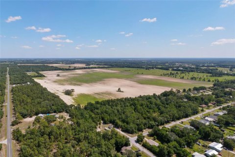 Land in Dunnellon, Florida № 1300653 - photo 5