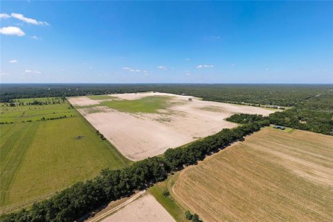 Land in Dunnellon, Florida № 1300653 - photo 10