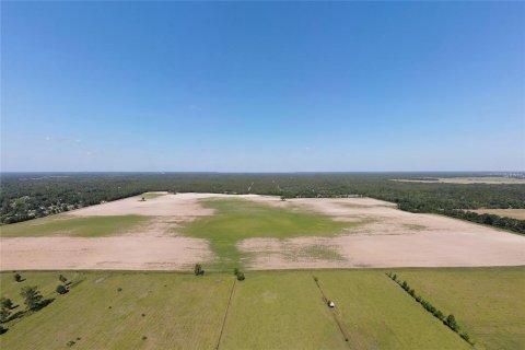 Land in Dunnellon, Florida № 1300653 - photo 9