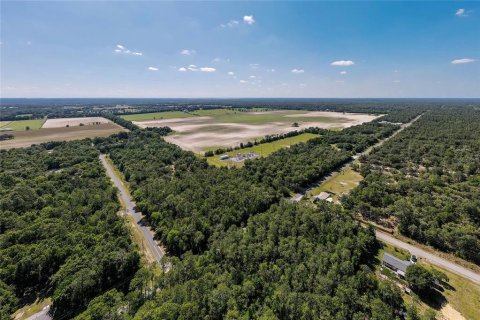 Land in Dunnellon, Florida № 1300653 - photo 21