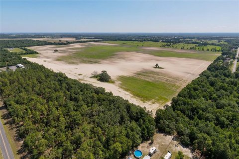 Land in Dunnellon, Florida № 1300653 - photo 17