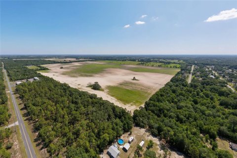 Land in Dunnellon, Florida № 1300653 - photo 16