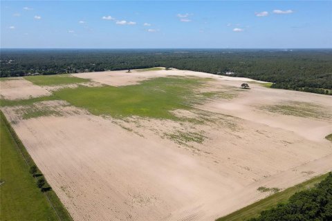 Land in Dunnellon, Florida № 1300653 - photo 14