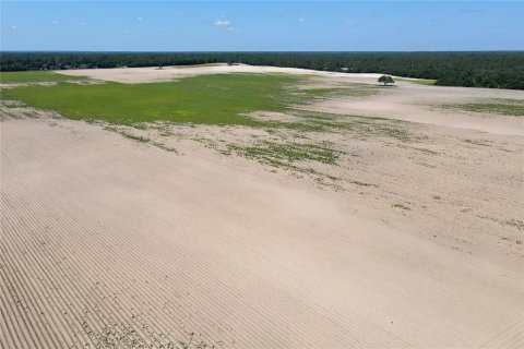 Terrain à vendre à Dunnellon, Floride № 1300653 - photo 8