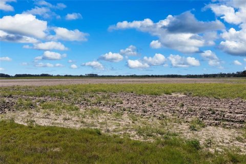 Terrain à vendre à Dunnellon, Floride № 1300653 - photo 23