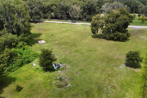 Land in Lakeland, Florida № 1366390 - photo 10