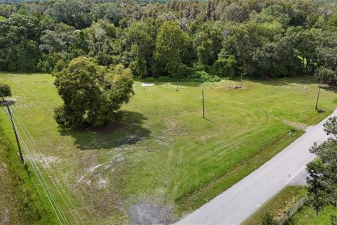 Terreno en venta en Lakeland, Florida № 1366390 - foto 6