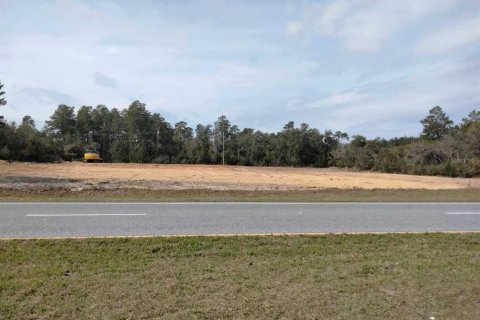 Terreno en venta en Ocala, Florida № 1088246 - foto 4