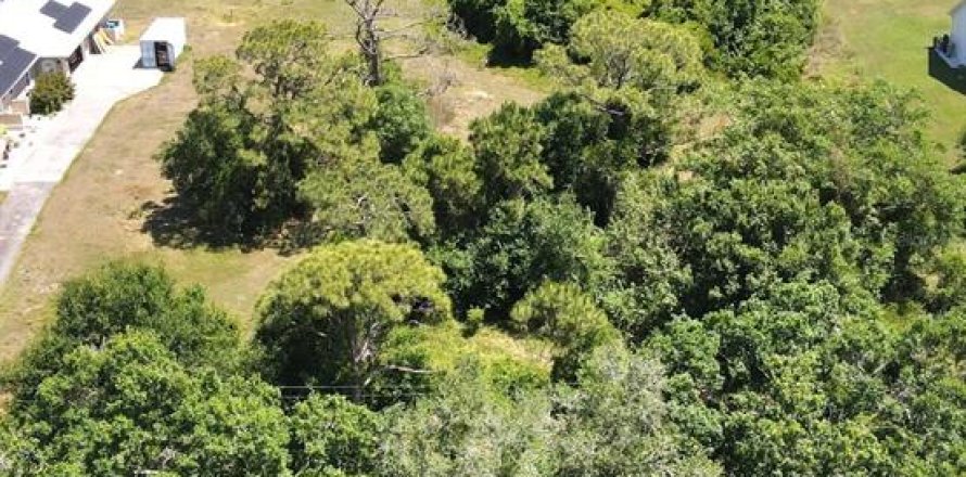 Terreno en Okeechobee, Florida № 1124123