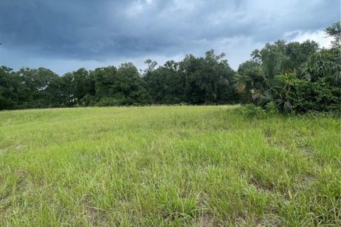 Terrain à vendre à DeLand, Floride № 605383 - photo 1