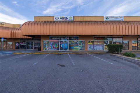 Propiedad comercial en venta en Tampa, Florida № 1084724 - foto 29