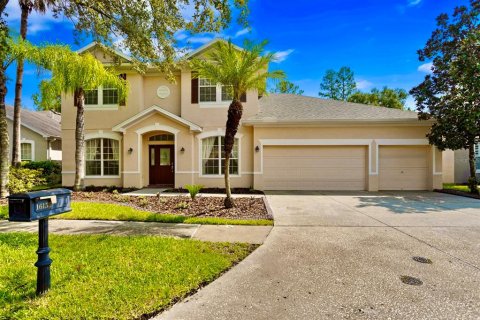 House in Tampa, Florida 4 bedrooms, 290.41 sq.m. № 1314946 - photo 1