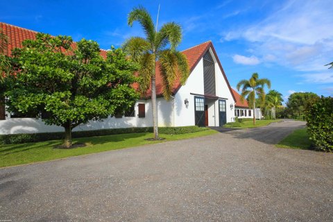 Villa ou maison à vendre à Wellington, Floride: 4 chambres, 644.93 m2 № 754454 - photo 25