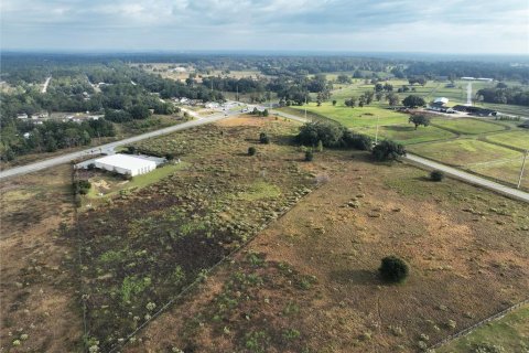 Terreno en venta en Ocala, Florida № 872538 - foto 3