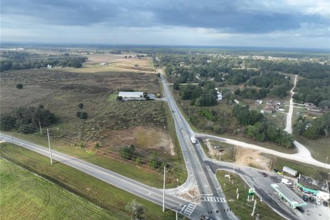 Land in Ocala, Florida № 872538 - photo 6