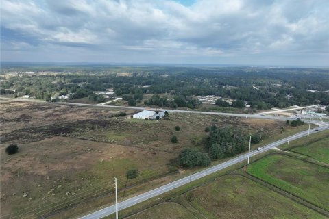 Terreno en venta en Ocala, Florida № 872538 - foto 8