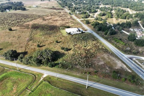 Terrain à vendre à Ocala, Floride № 872538 - photo 13