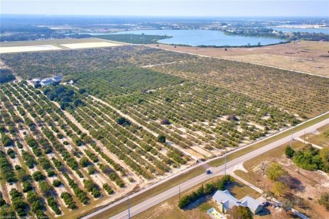 Land in Avon Park, Florida № 1366453 - photo 7