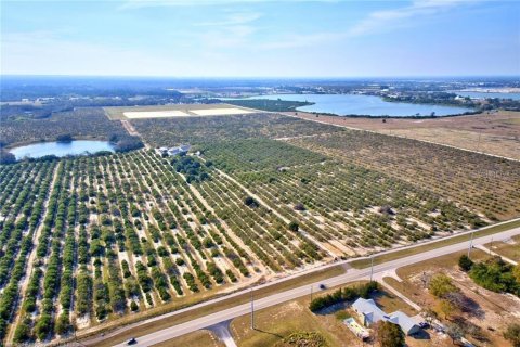 Terreno en venta en Avon Park, Florida № 1366453 - foto 8