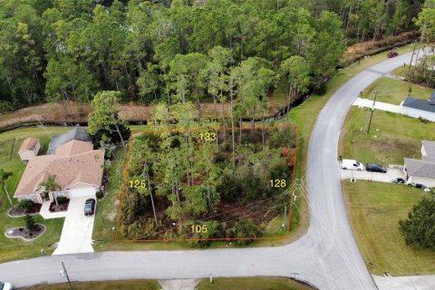 Купить земельный участок в Палм-Кост, Флорида № 928841 - фото 3
