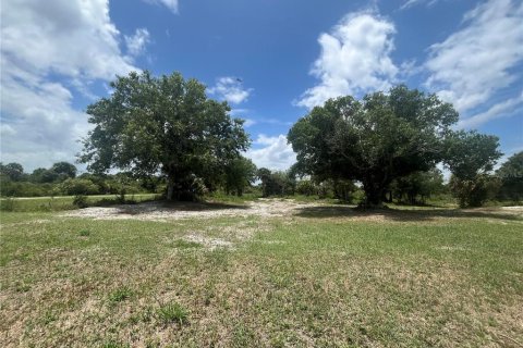 Land in Okeechobee, Florida № 1246159 - photo 8