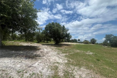 Land in Okeechobee, Florida № 1246159 - photo 6