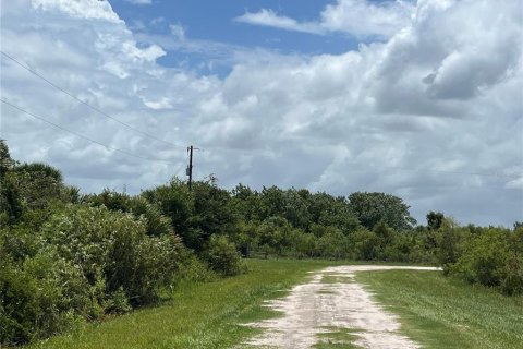 Land in Okeechobee, Florida № 1246159 - photo 4