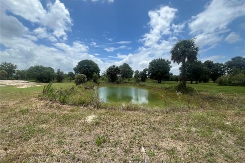 Land in Okeechobee, Florida № 1246159 - photo 13