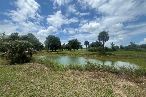 Land in Okeechobee, Florida № 1246159 - photo 10