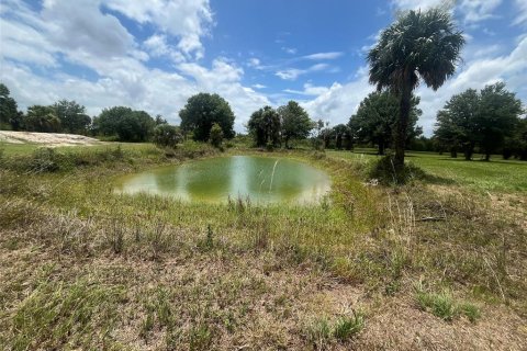 Land in Okeechobee, Florida № 1246159 - photo 14