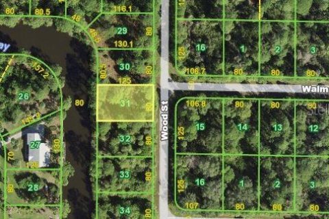 Купить земельный участок в Порт-Шарлотт, Флорида № 214340 - фото 1