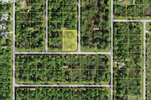 Купить земельный участок в Порт-Шарлотт, Флорида № 214336 - фото 1