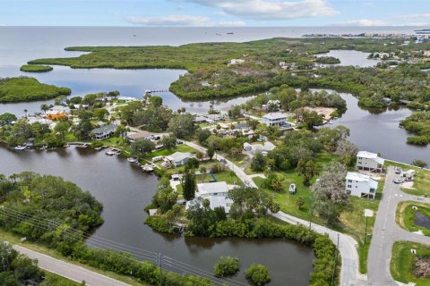 Villa ou maison à vendre à New Port Richey, Floride: 3 chambres, 169.27 m2 № 1253983 - photo 2