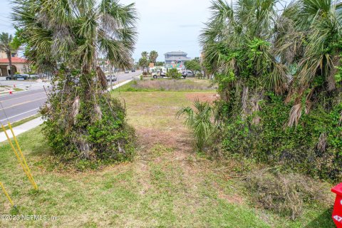 Land in Saint Augustine, Florida № 766932 - photo 13