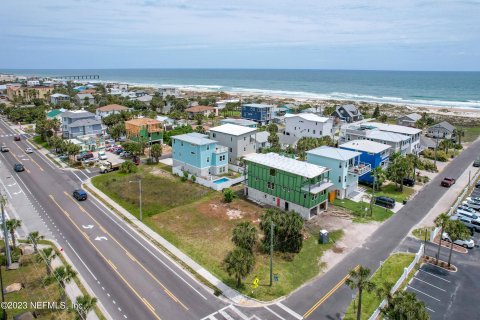 Land in Saint Augustine, Florida № 766932 - photo 7