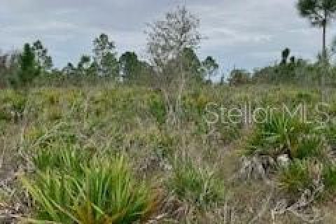 Terreno en venta en Punta Gorda, Florida № 966213 - foto 20