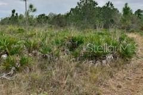 Terreno en venta en Punta Gorda, Florida № 966213 - foto 15