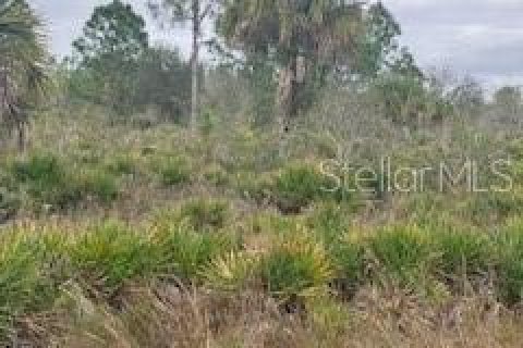 Terreno en venta en Punta Gorda, Florida № 966213 - foto 16