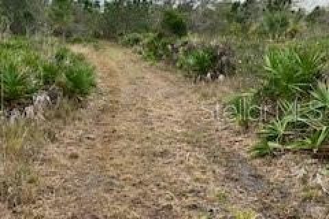 Terreno en venta en Punta Gorda, Florida № 966213 - foto 10