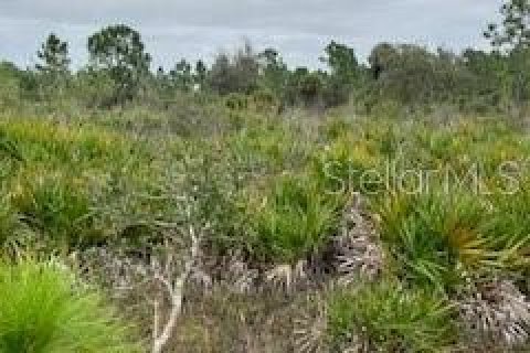 Terreno en venta en Punta Gorda, Florida № 966213 - foto 17