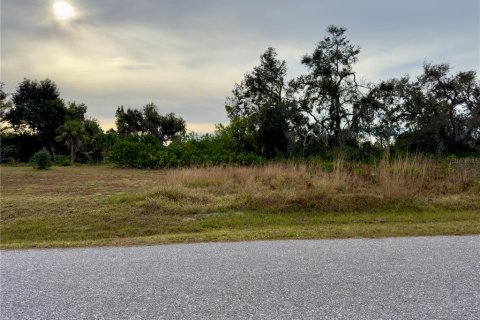 Купить земельный участок в Норт-Порт, Флорида № 934871 - фото 22