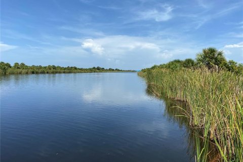 Land in Port Charlotte, Florida № 1314714 - photo 2