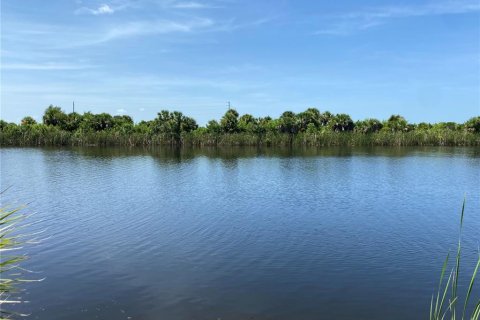 Land in Port Charlotte, Florida № 1314714 - photo 8