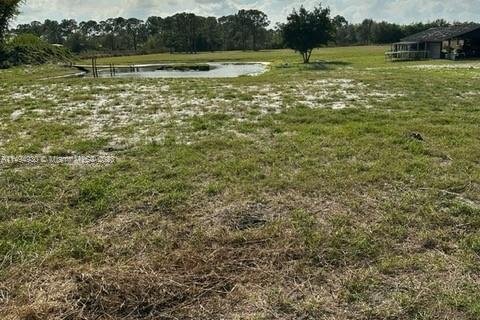 Купить земельный участок в Клуистон, Флорида № 868404 - фото 2